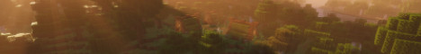Qwartie SMP banner