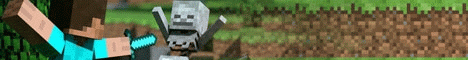 Vyxel MC banner