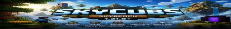 SkyCubs banner