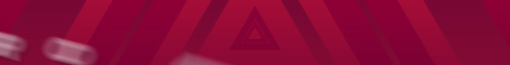 Professional Minecraft Survival banner