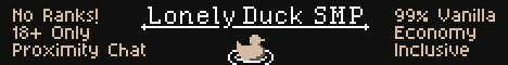 LonelyDuckSMP banner