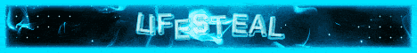 NG Network Craft banner