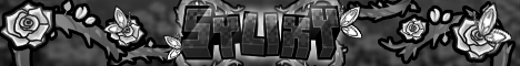 Sylixy banner