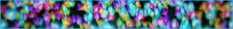 WestLeaf banner
