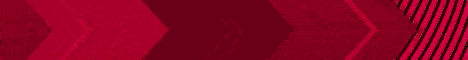 SurvalisMC banner