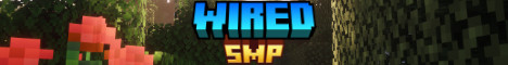 WiredSMP banner