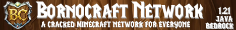 SkyCraft Network banner