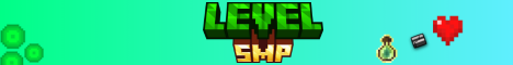 Level SMP banner