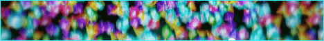 BIGGYS banner
