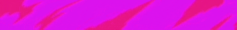 Nexonia Network banner