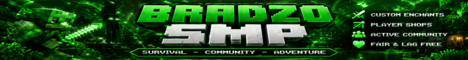 Bradzo SMP banner