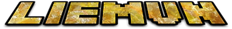 LIEMVN NETWORK banner