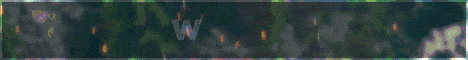 WarCraft banner