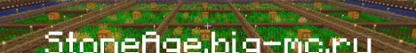 StoneAge banner