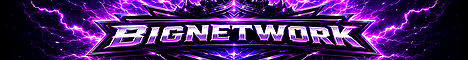 BIGNETWORK-Survie banner