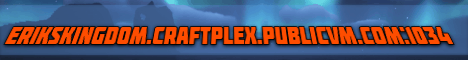 Eriks Kingdom banner