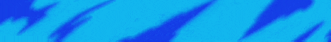 SkNetwork banner