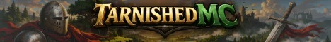 TarnishedMC banner