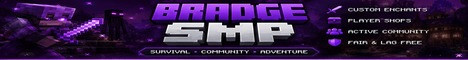 Bradge SMP banner