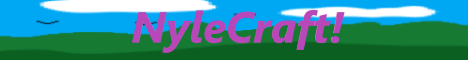NyleCraft banner