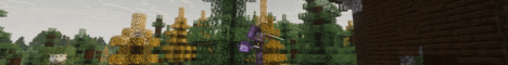 Freez_server banner