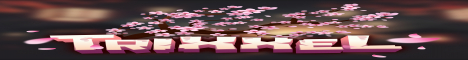 Trixxel MC banner