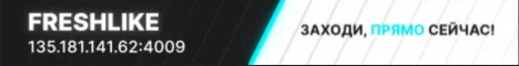 Anarcraft banner