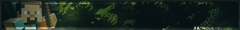 SilverThornMc Network banner