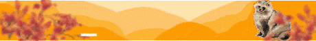 Tanuki Smp banner