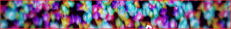ChiquiLand banner