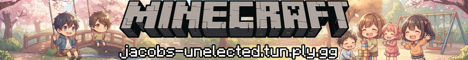 Hibixel SMP banner