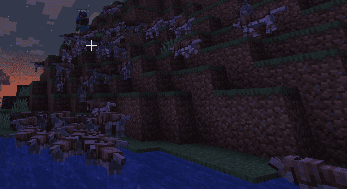 RandomServerMC screenshot 4