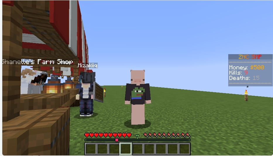 ZNC SMP Server screenshot 1