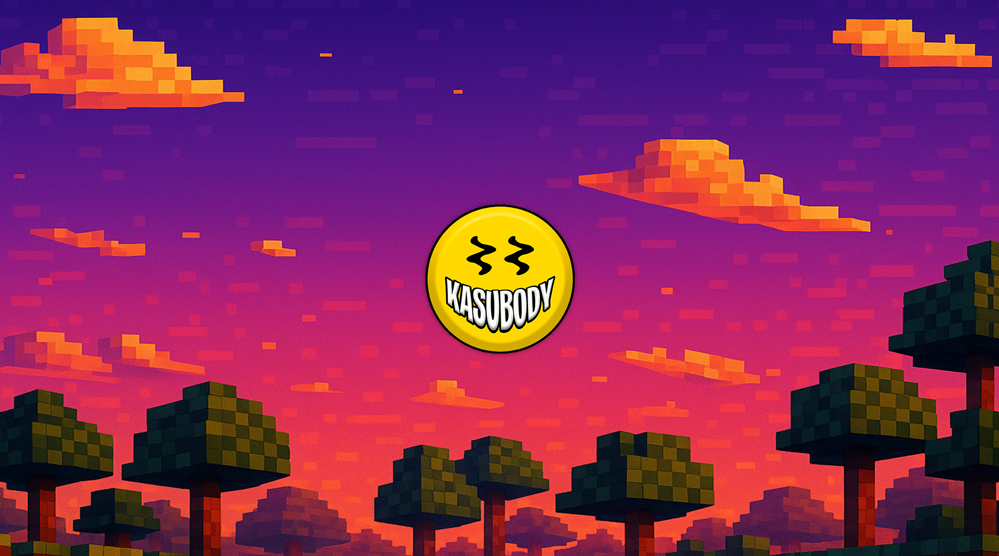 Kasubody SMP screenshot 1