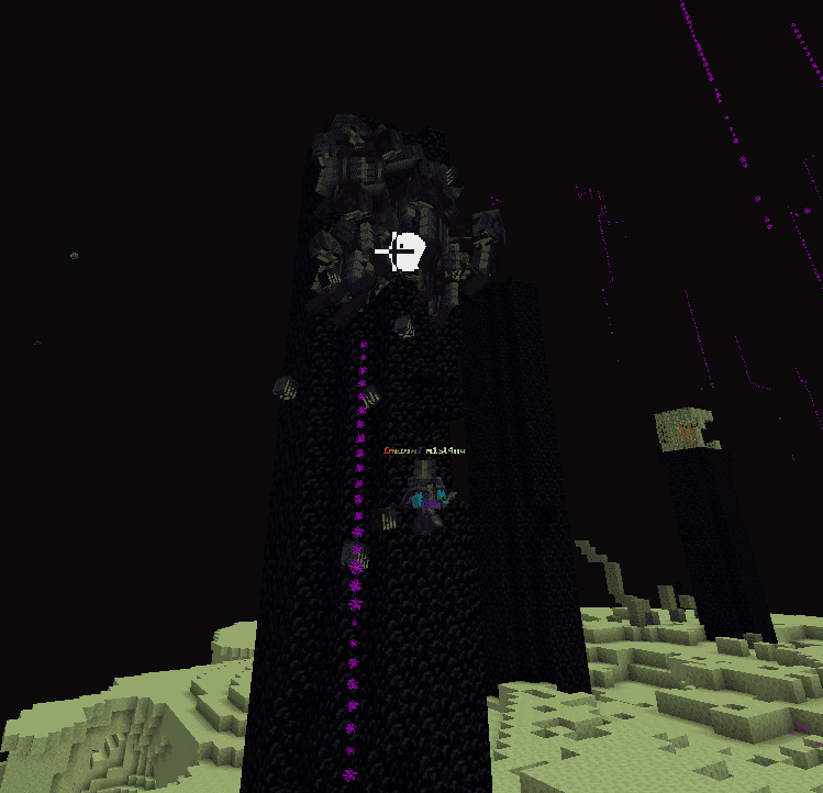 RandomServerMC screenshot 5