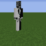 The County SMP screenshot 3