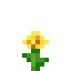 Dandelion SMP