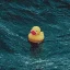 LonelyDuckSMP