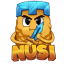 NUSI
