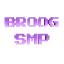 BroogSMP