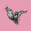 Ravenstale Survival