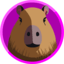 NEINtjes Realm