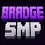 Bradge SMP