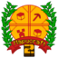 Mapucraft Chile