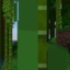 Freedom SMP