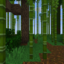 Vital Vanilla Anarchy | No Hack Survival