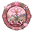 LILY NETWORK