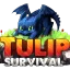 TulipSurvival SMP 1.20
