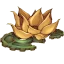 Lotus Cove
