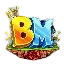 BharatMC Network